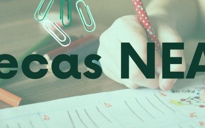 Abierto el plazo de solicitud de ayudas para alumnos con necesidades educativas específicas de apoyo educativo para el curso 2025/26