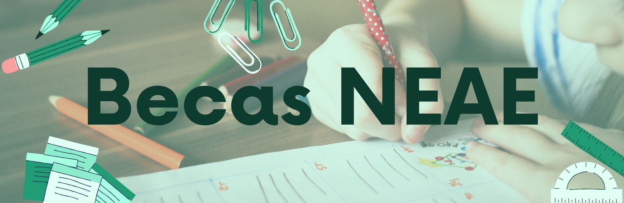 Becas NEAE